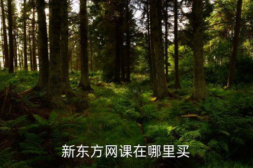 新东方网课在哪里买
