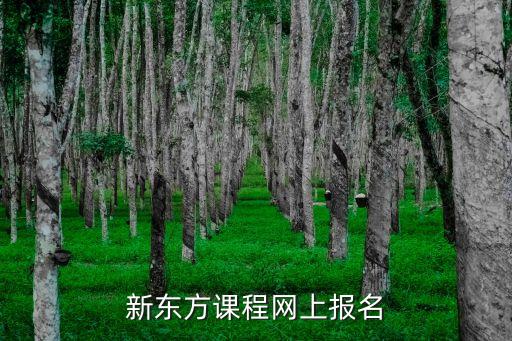 新东方网课官网首页，新东方网址是什么