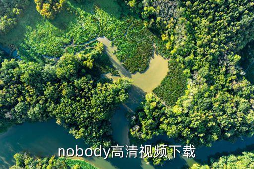 nobody高清视频下载