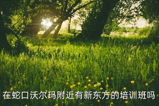 在蛇口沃尔玛附近有新东方的培训班吗