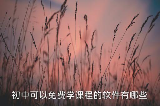 初中可以免费学课程的软件有哪些