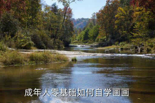 成年人零基础如何自学画画