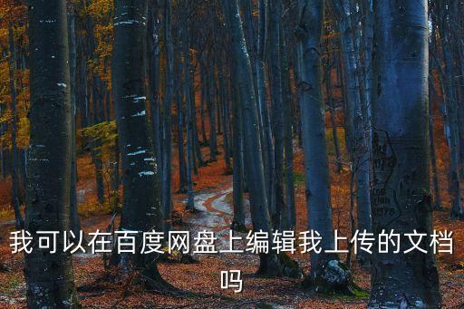 我可以在百度网盘上编辑我上传的文档吗
