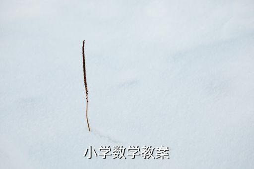 小学数学教案