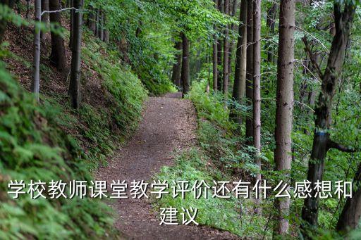 学校教师课堂教学评价还有什么感想和建议