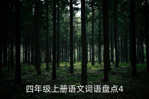 四年级上册语文词语盘点4