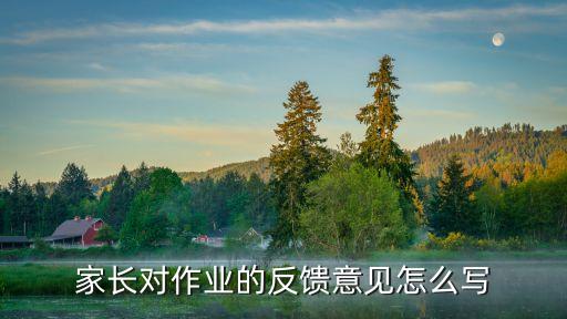 家长对作业的反馈意见怎么写