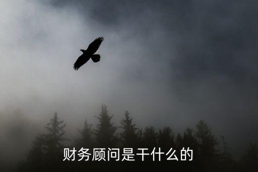 财务顾问是干什么的