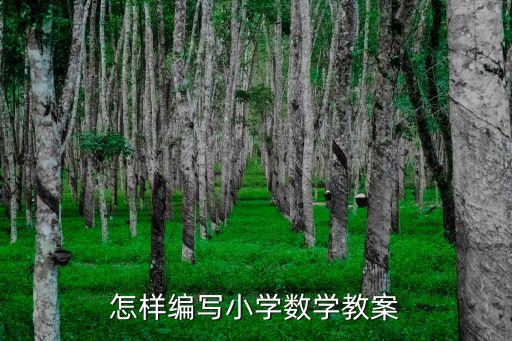 怎样编写小学数学教案