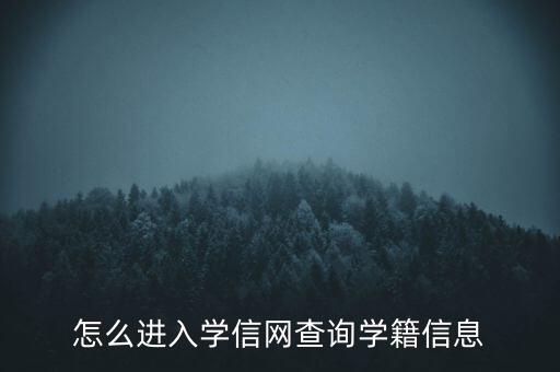 怎么进入学信网查询学籍信息