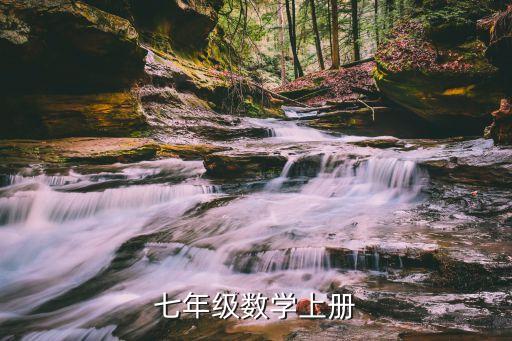 七年级数学上册