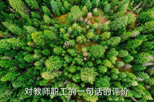 对教师职工的一句话的评价