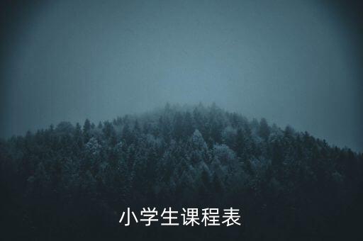 小学生课程表