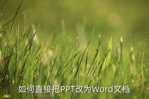 如何直接把PPT改为Word文档