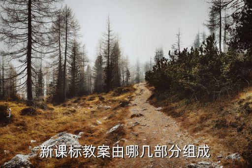 新课标教案由哪几部分组成