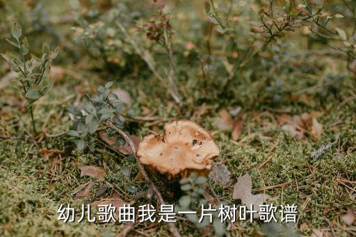 幼儿歌曲我是一片树叶歌谱