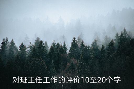 对班主任工作的评价10至20个字