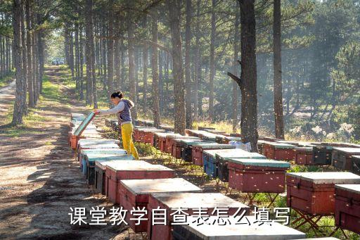 课堂教学自查表怎么填写