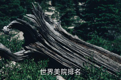 世界美院排名