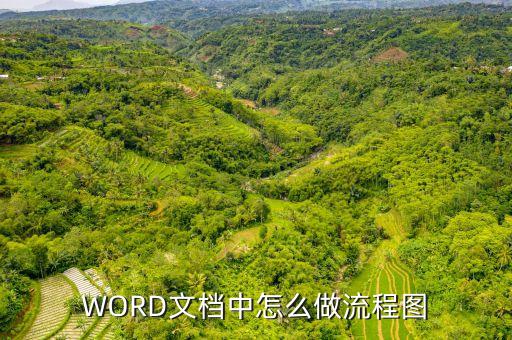 WORD文档中怎么做流程图