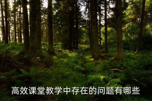 高效课堂教学中存在的问题有哪些