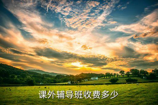 课外辅导班收费多少