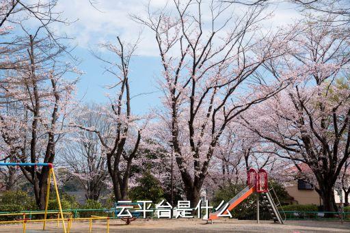 云平台是什么