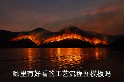哪里有好看的工艺流程图模板吗