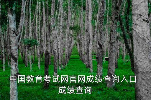 中国教育考试网官网成绩查询入口  成绩查询