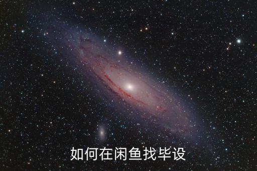 如何在闲鱼找毕设