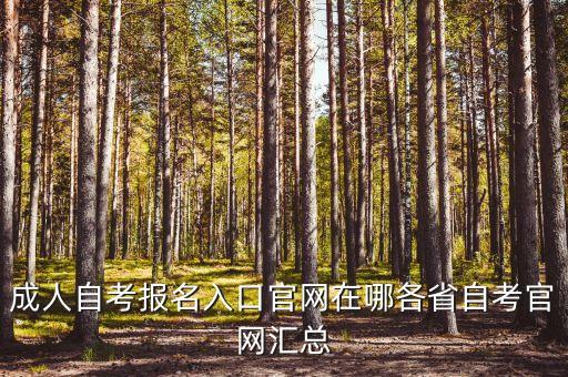 成人自考报名入口官网在哪各省自考官网汇总