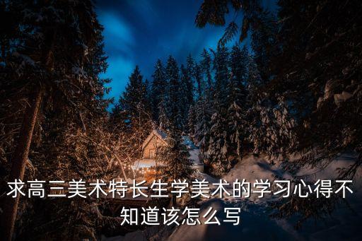 求高三美术特长生学美术的学习心得不知道该怎么写