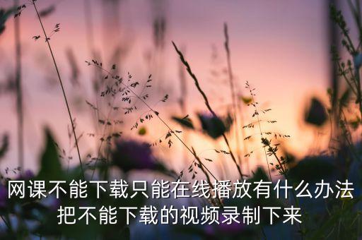 网课不能下载只能在线播放有什么办法把不能下载的视频录制下来