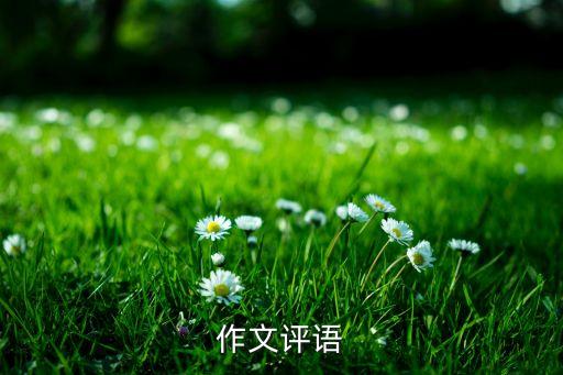 作文评语