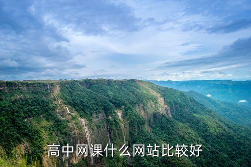 高中网课什么网站比较好