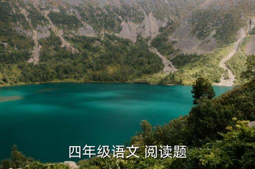 四年级语文 阅读题