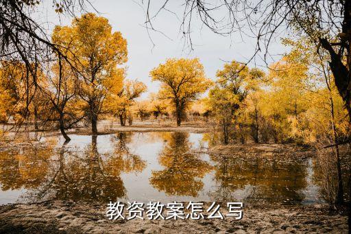 教资教案怎么写