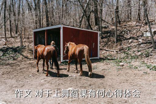 作文 对于上舞蹈课有何心得体会