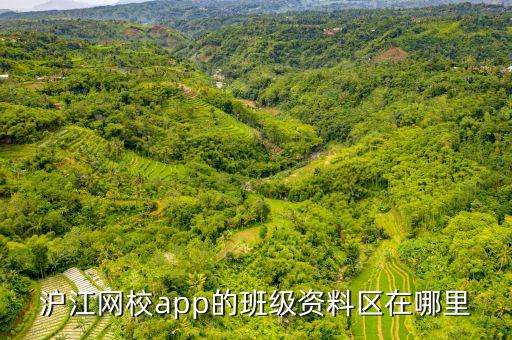 沪江网校app的班级资料区在哪里