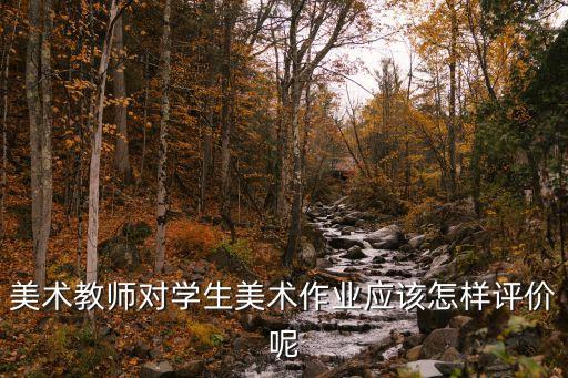 美术教师对学生美术作业应该怎样评价呢