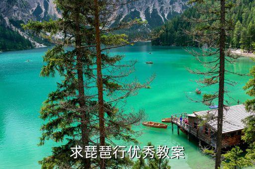 求琵琶行优秀教案