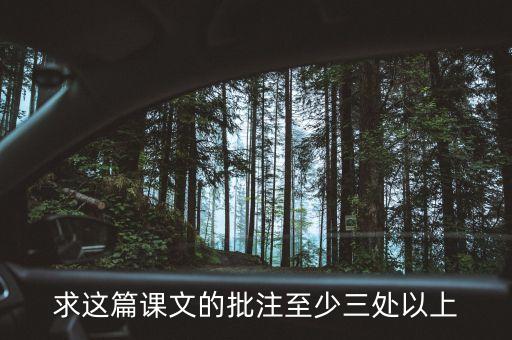 求这篇课文的批注至少三处以上