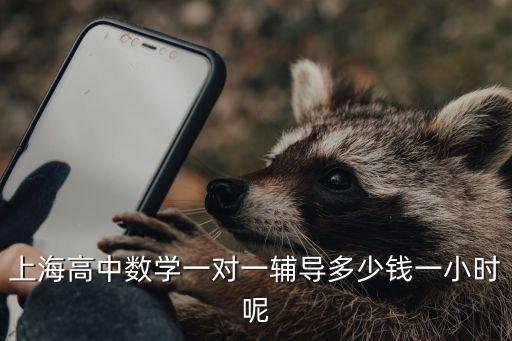 上海高中数学一对一辅导多少钱一小时呢