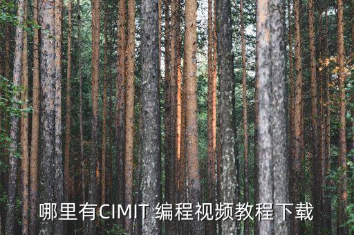 哪里有CIMIT 编程视频教程下载