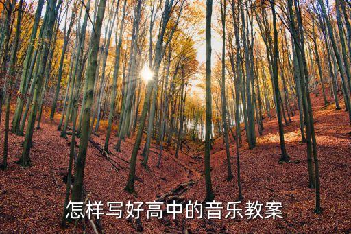 怎样写好高中的音乐教案