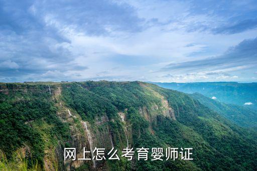网上怎么考育婴师证