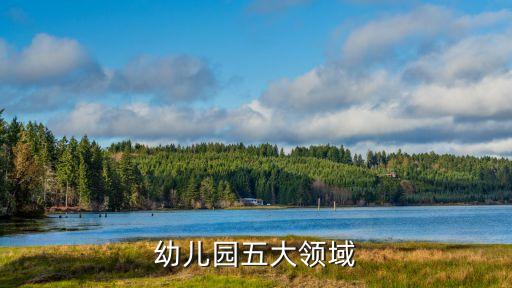 幼儿园五大领域测评表，幼儿园五大领域