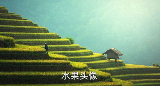 水果头像