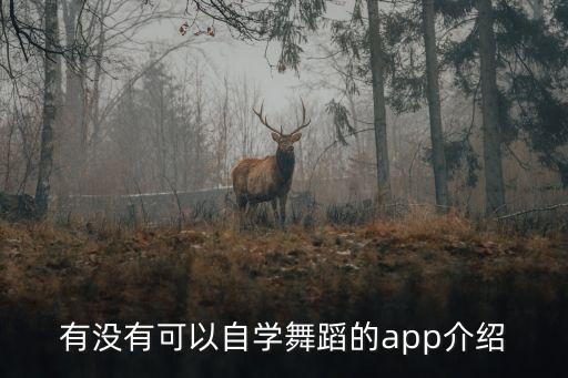 有没有可以自学舞蹈的app介绍
