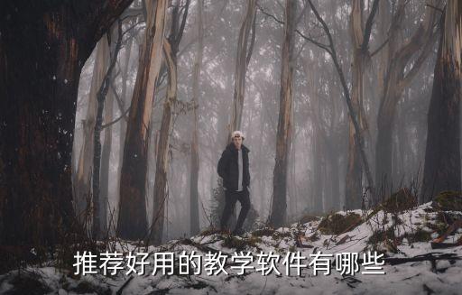 推荐好用的教学软件有哪些